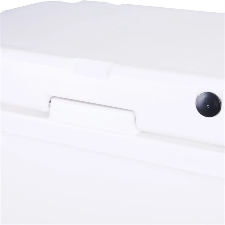 Cooler Detail